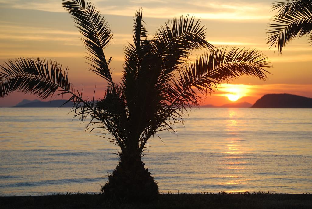 Club Blue White All Inclusive Turgutreis Exteriér fotografie
