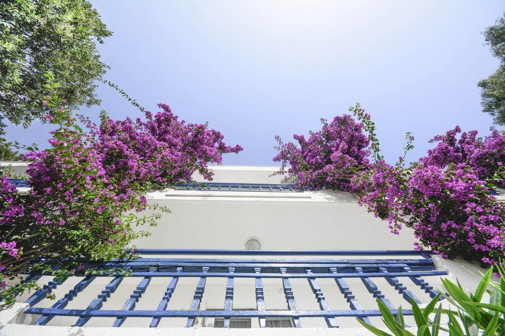 Club Blue White All Inclusive Turgutreis Exteriér fotografie